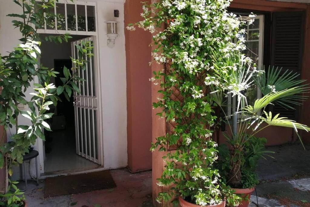 La Casa Della Mia Famiglia Apartment โรม ภายนอก รูปภาพ
